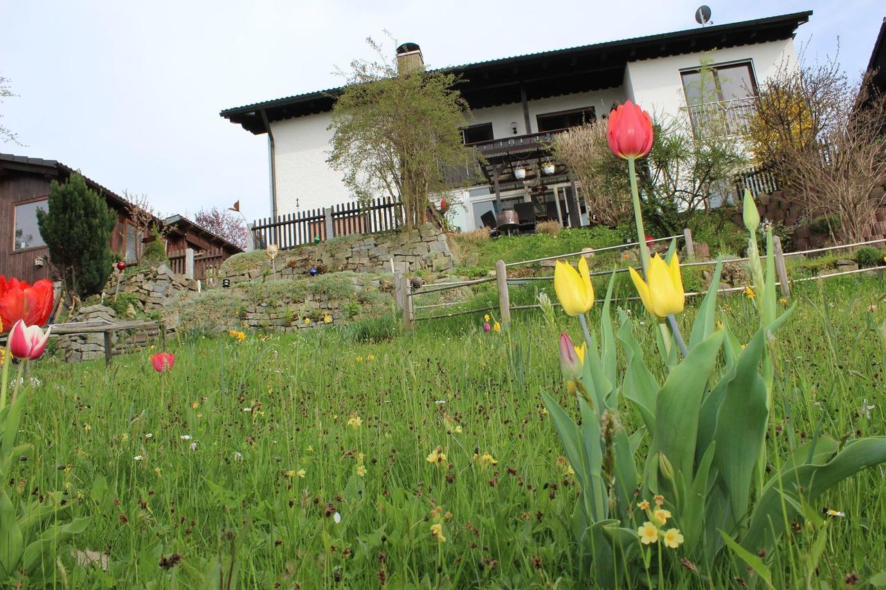 Haus Koblizek Apartment Waldkirchen Bagian luar foto
